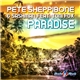 Pete Sheppibone & SashMan Feat. Toni Fox - Paradise